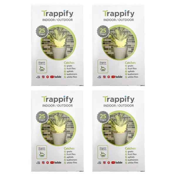 Four boxes of Trappify 4 Pack Sticky Butterfly Shape Gnat Traps for House Indoor—100 traps total—are arranged in a grid, each box showing a potted plant and listing pests these organic gardening sticky bug cards catch.